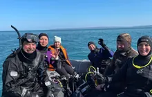 Дайвинг в Баренцевом море 8