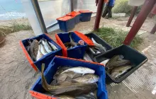 Рыбалка на базе Мистер Ристи 2