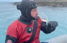 Дайвинг в Баренцевом море 2