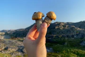 Планируйте заранее