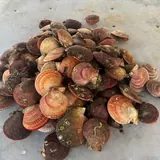 Морские деликатесы 2